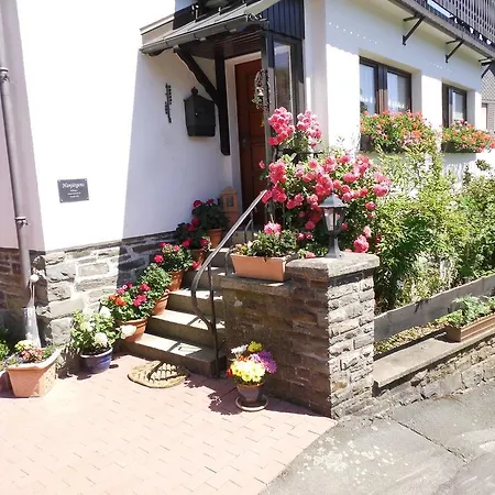 In Langewiese Sauerland With Garden Apartment *