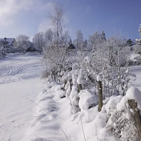 In Langewiese Sauerland With Garden Apartment *