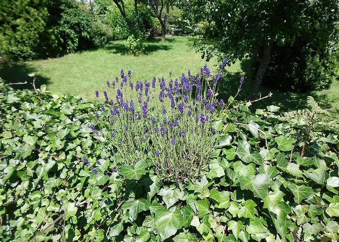 Lägenhet In Langewiese Sauerland With Garden