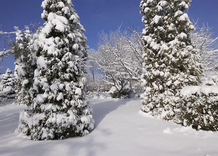 In Langewiese Sauerland With Garden