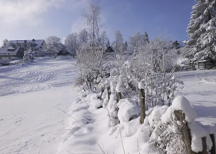In Langewiese Sauerland With Garden Apartment *